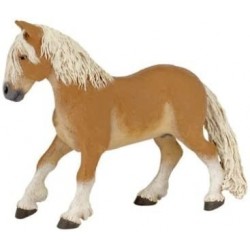 PONY HAFLINGER