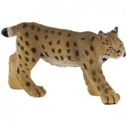 LINCE