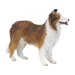 COLLIE PERRO