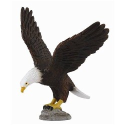 AGUILA AMERICANA