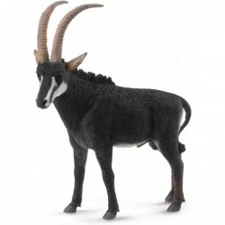 ANTILOPE NEGRO MACHO