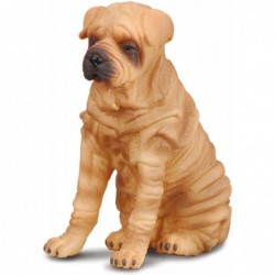 SHAR PEI L