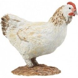 GALLINA BLANCA