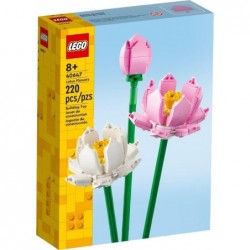 40647 FLORES DE LOTO