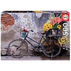 500 BICICLETA CON FLORES