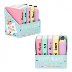 GOMAS DE BORRAR MINI LIBROS