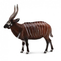 ANTILOPE BONGO XL