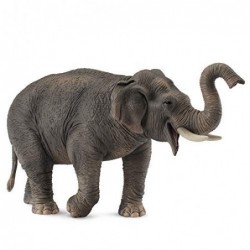 ELEFANTE ASIATICO XL