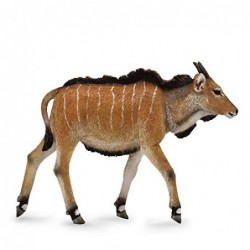 ELAND CALF M COLLECTA