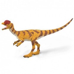 DILOPHOSAURUS L COLLECTA