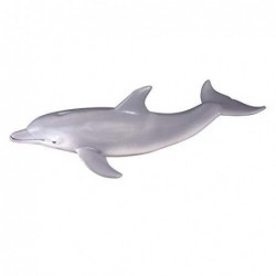 DELFIN M COLLECTA