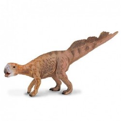 PSITTACOSAURUS M COLLECTA