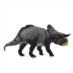 NASUTOCERATOPS L