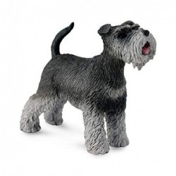 SCHNAUZER COLLECTA