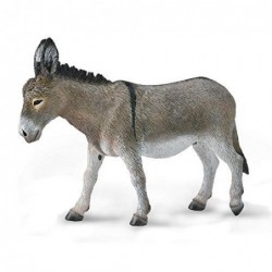 BURRO L COLLECTA