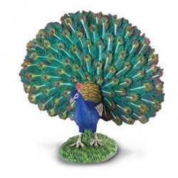 PAVO REAL L