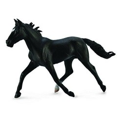 SEMENTAL STANDARDBRED NEGRO XL