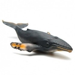 BALLENA JOROBADA XL