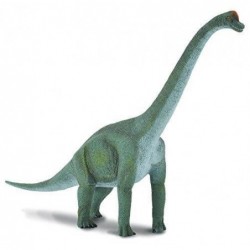 BRACHIOSAURUS L