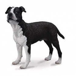 AMERICAN STAFFORDSHIRE TERRIER