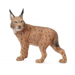 LINCE L