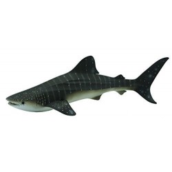 TIBURON BALLENA XL