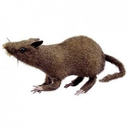 RATA 20CM